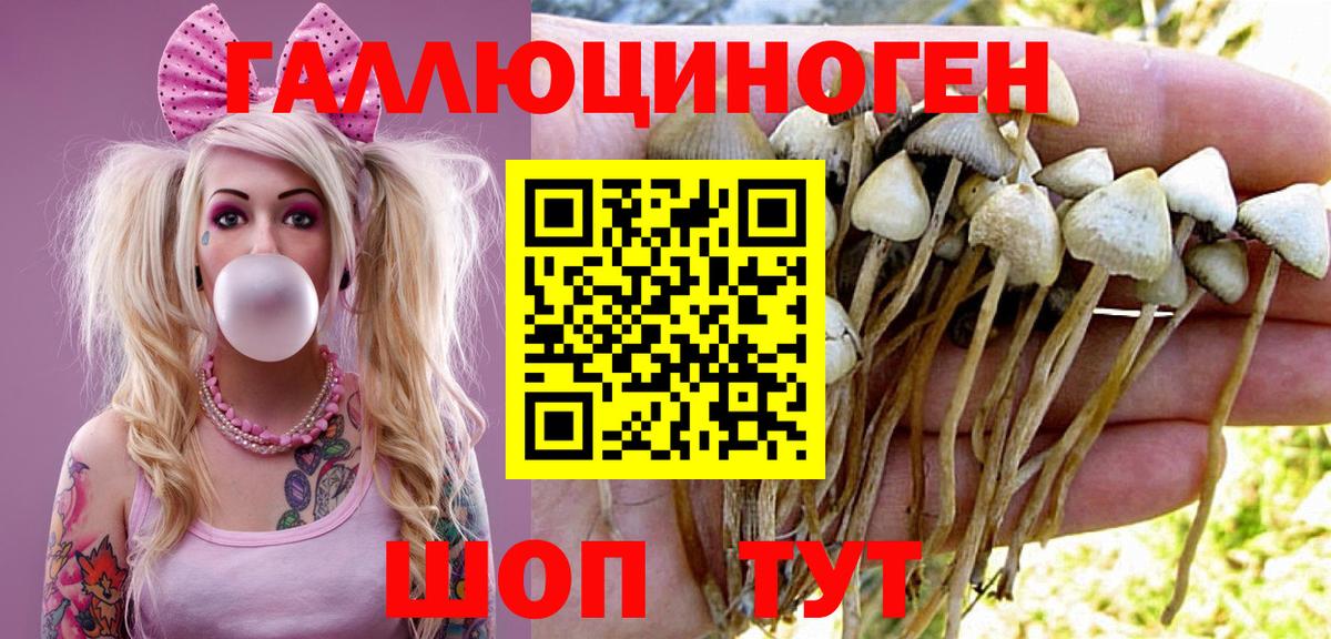 Хабаровск  Галлюциногенные грибы ЛСД  Вход с VPN 